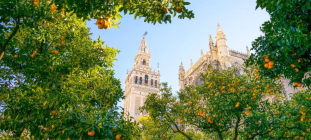 Tours privados en Sevilla